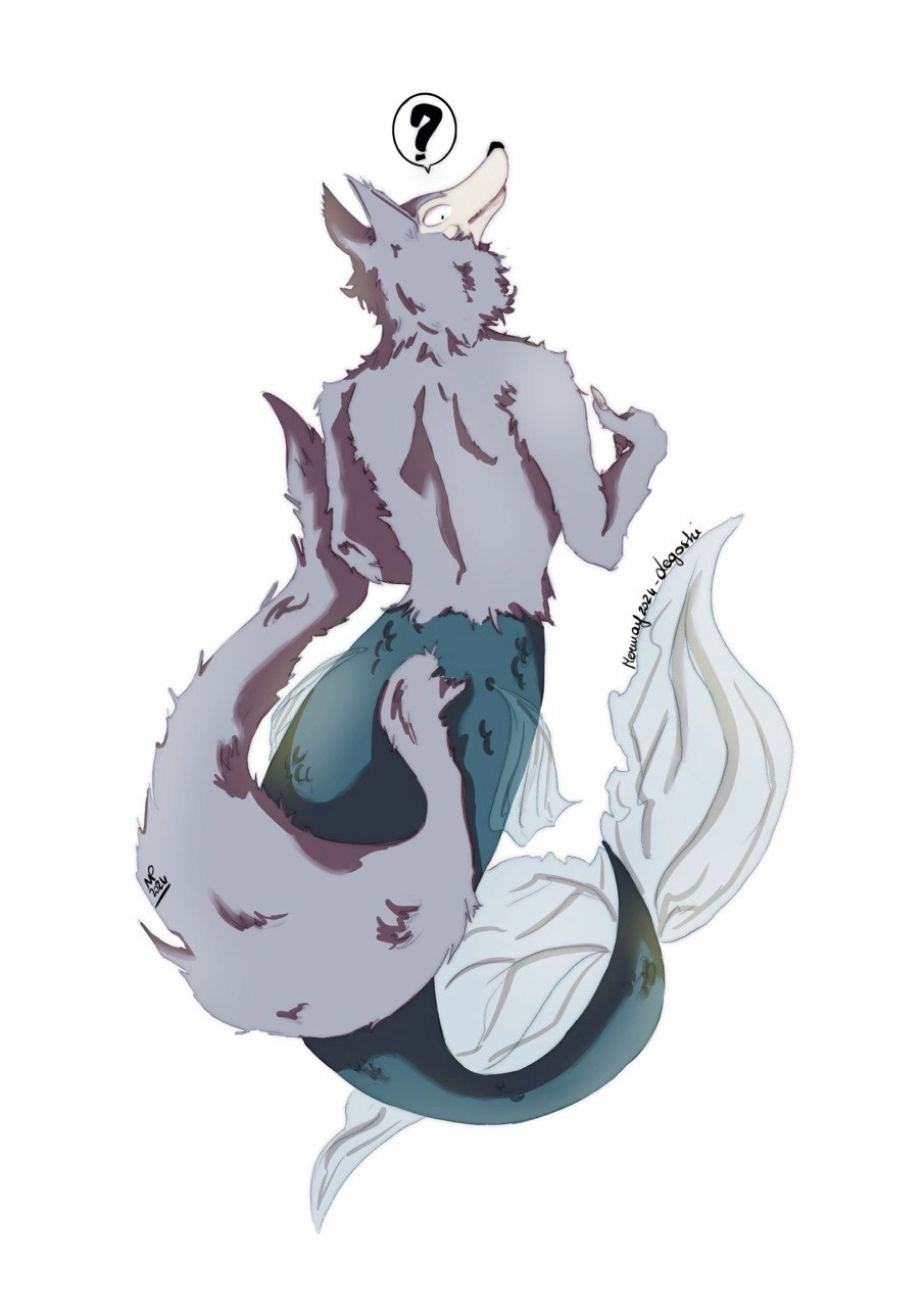 Mermaid 11 - Legoshi