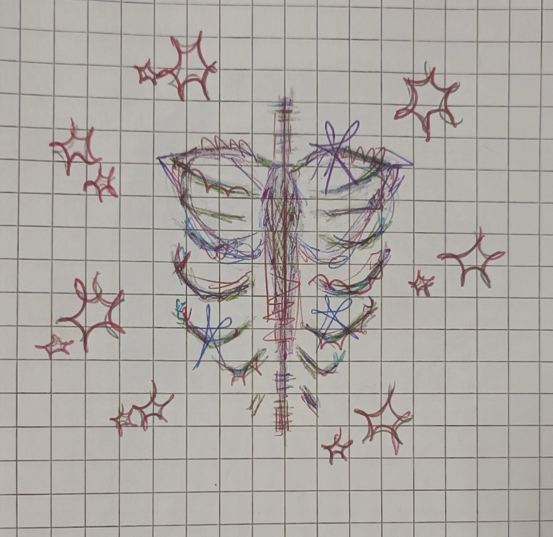Random skeleton I drew during class :>