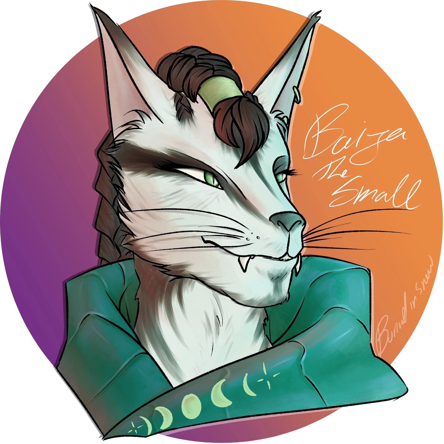A D&D Token i made for my own character Baija The Small, Like the seccond time in a long time i've ever drawn an anthro character 