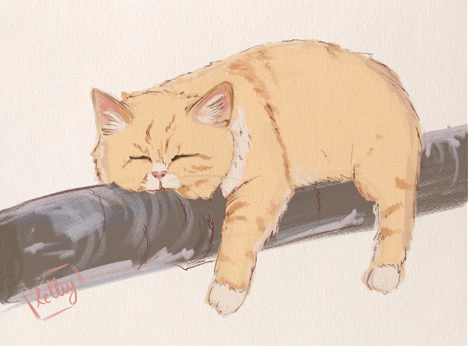Cat doodle