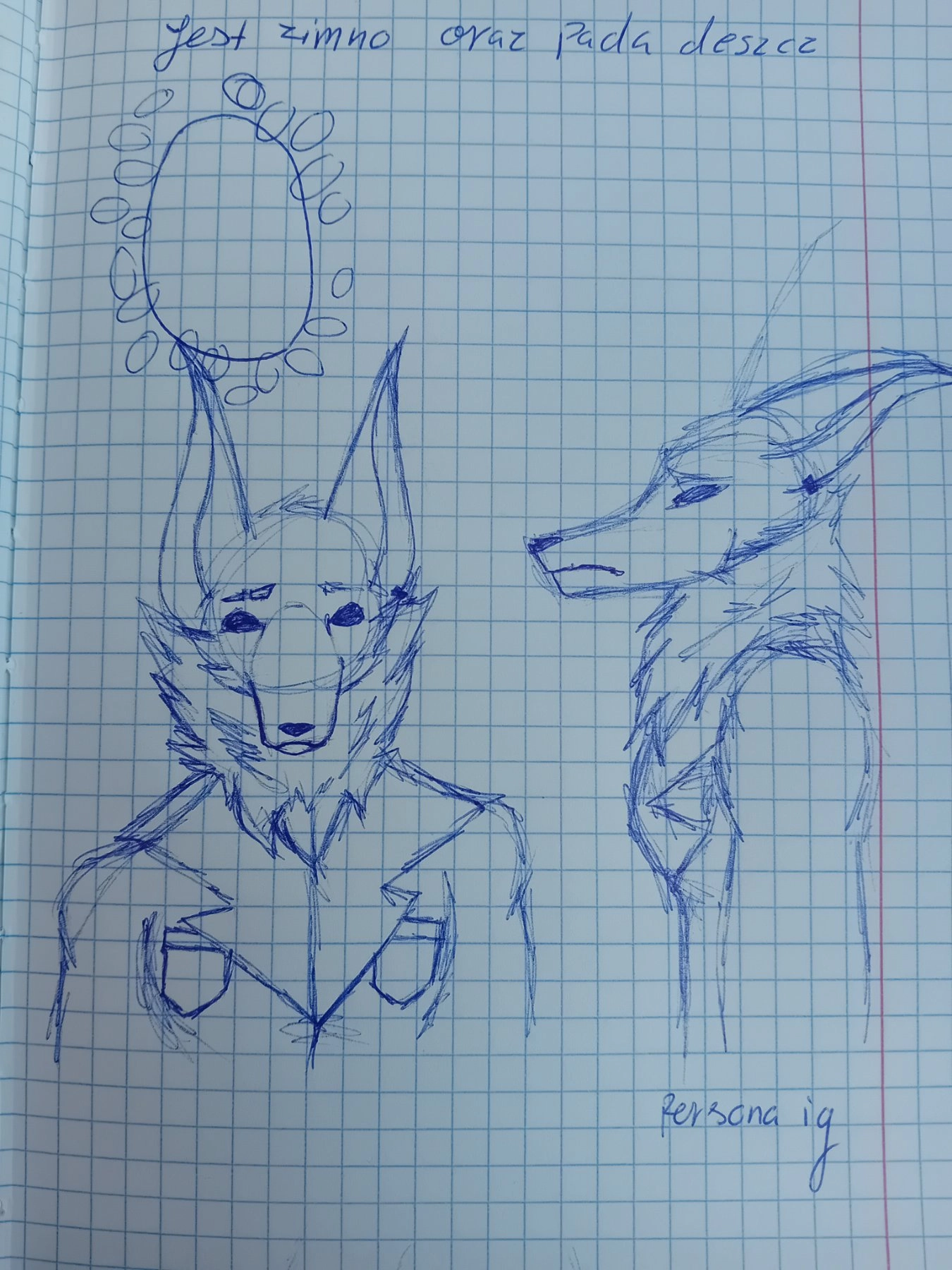 Random drawing I made of my persona today