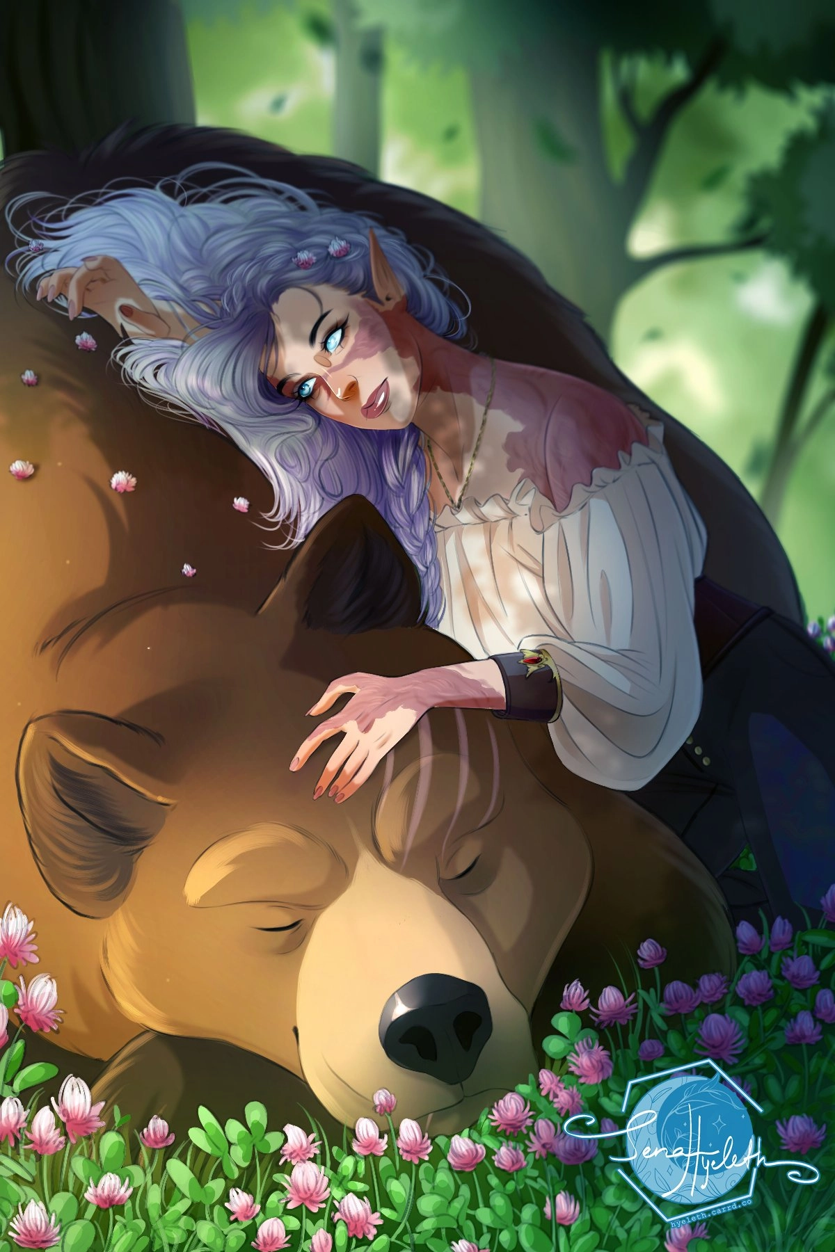 Commission for Nova