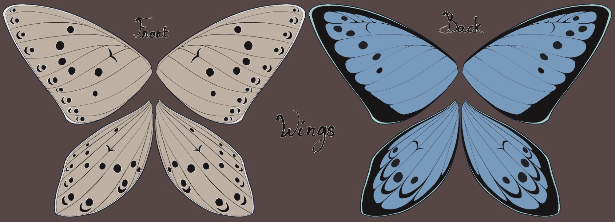 Who doesn't like pretty wings ?