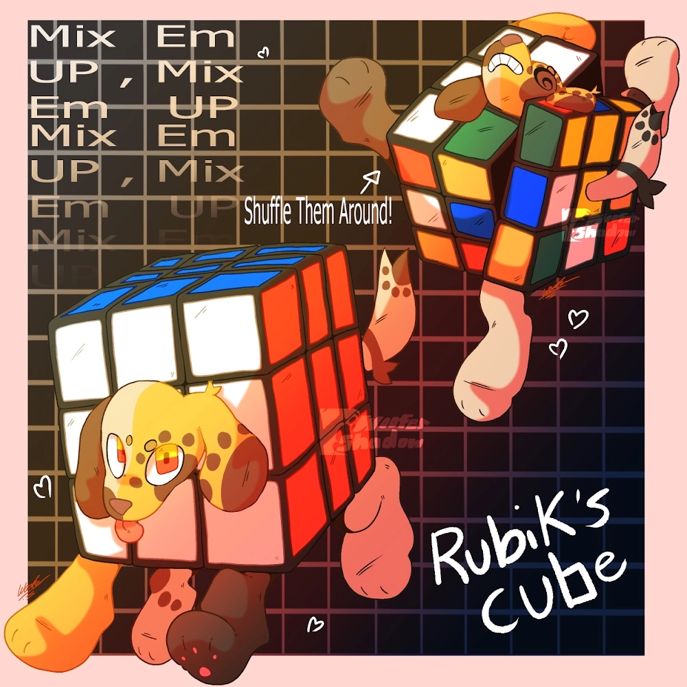 Rubik’s cube puppy design